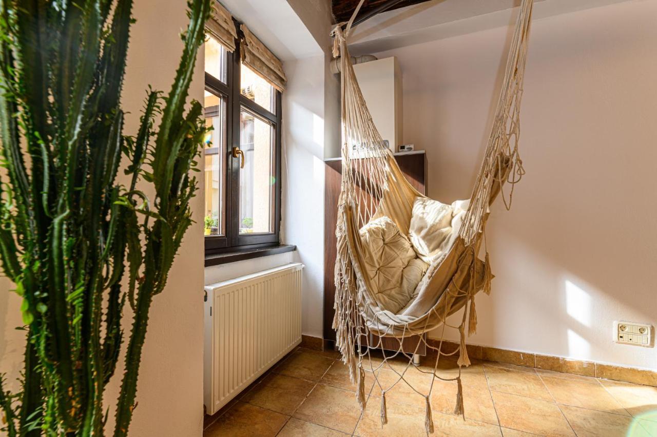 Dream Guesthouse Μπρασόβ Εξωτερικό φωτογραφία