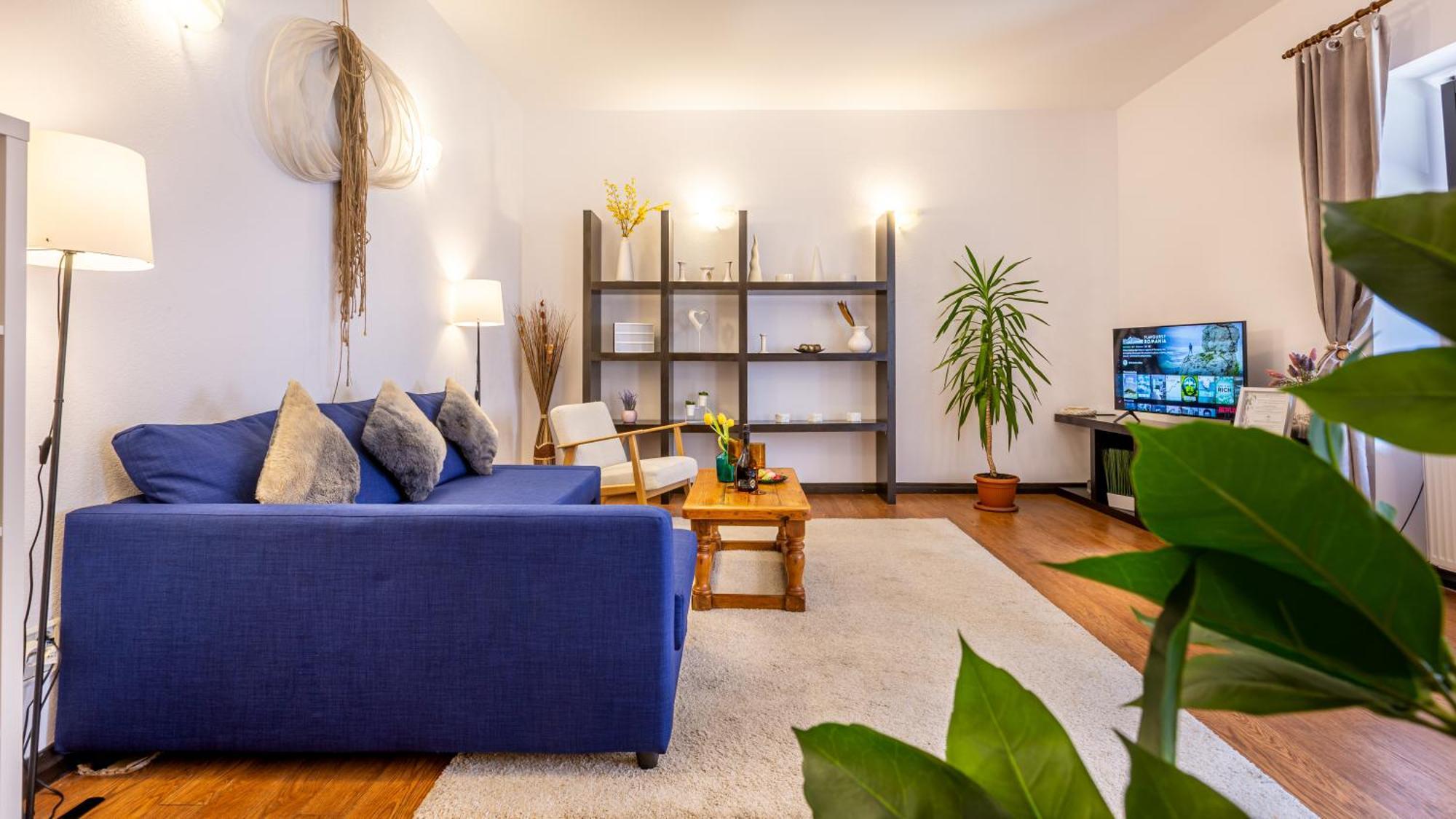 Dream Guesthouse Μπρασόβ Εξωτερικό φωτογραφία