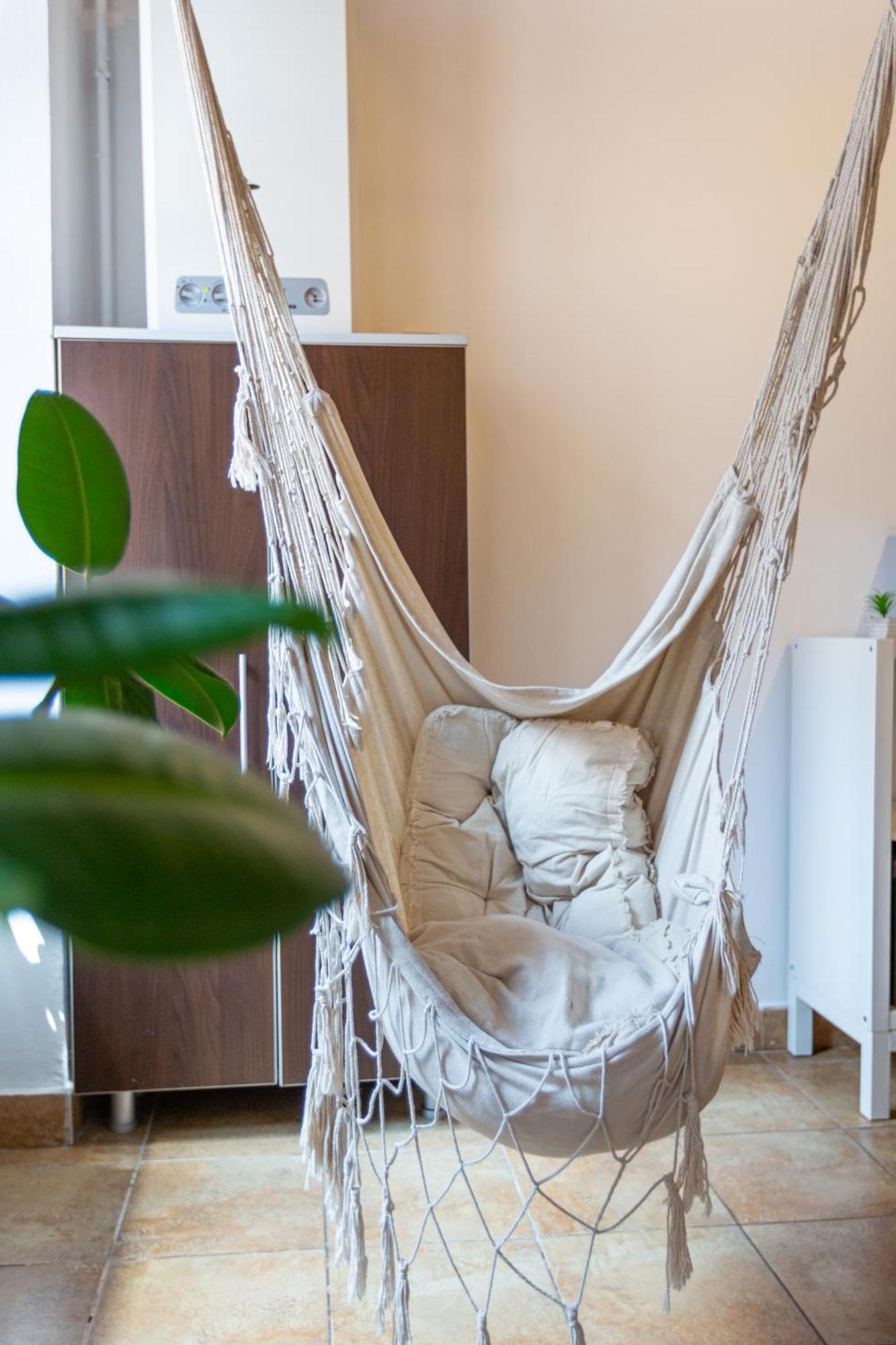 Dream Guesthouse Μπρασόβ Εξωτερικό φωτογραφία