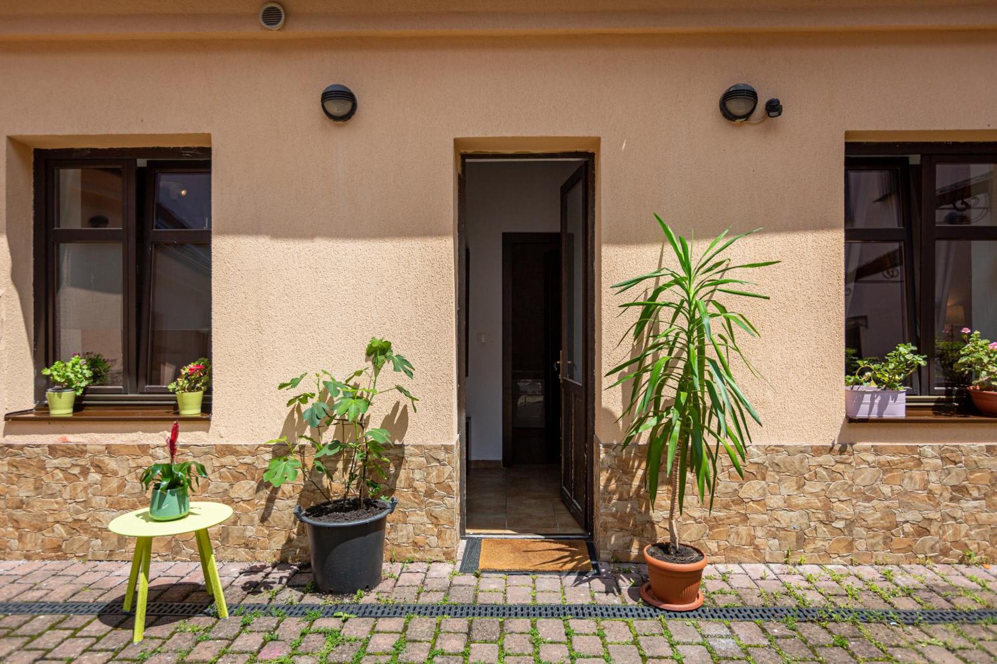 Dream Guesthouse Μπρασόβ Εξωτερικό φωτογραφία