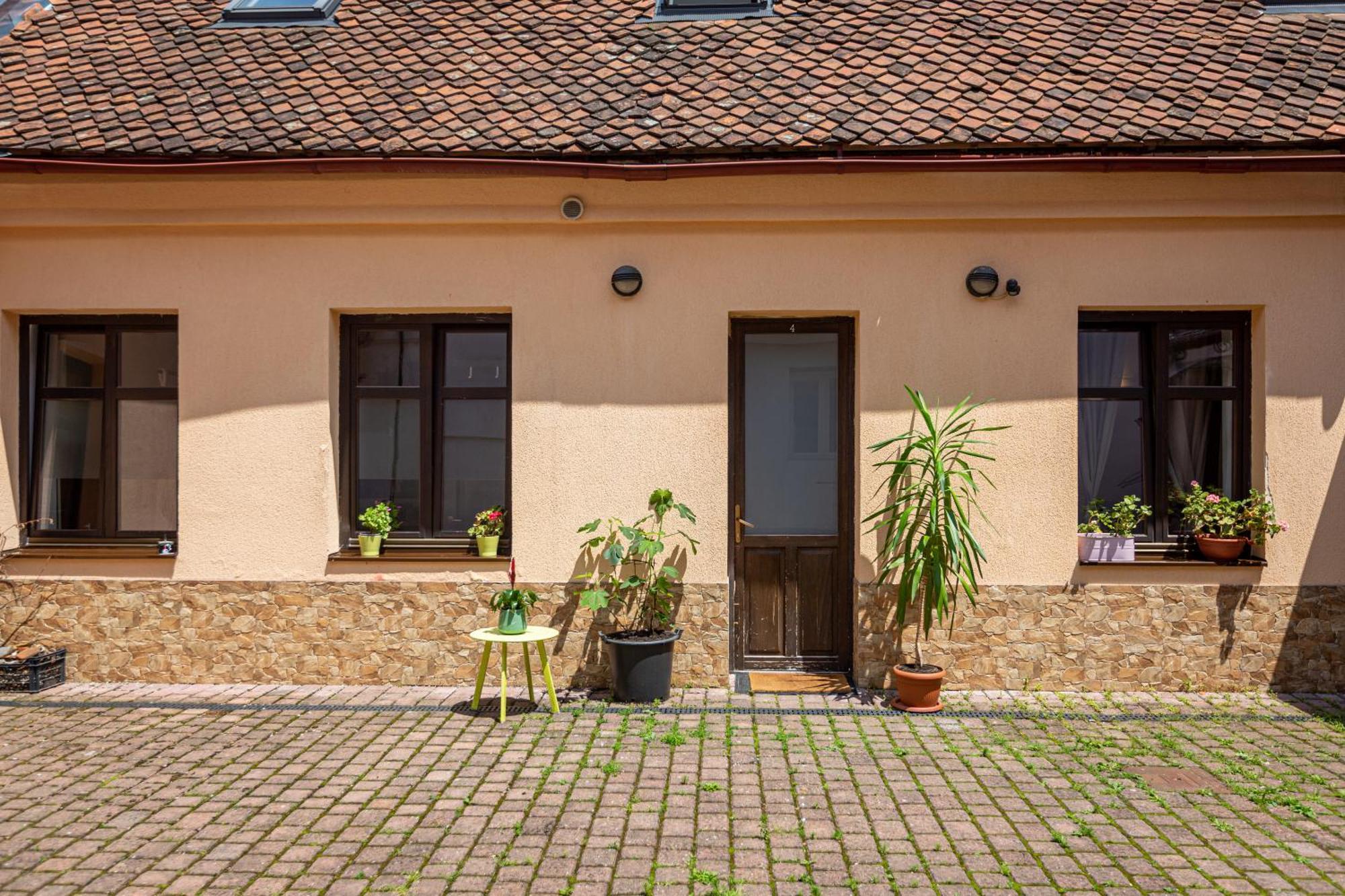 Dream Guesthouse Μπρασόβ Εξωτερικό φωτογραφία